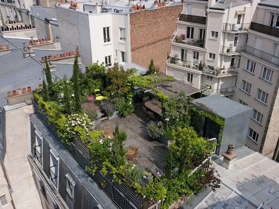 城市屋頂綠化工程