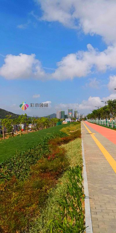 珠海項目道路綠化工程