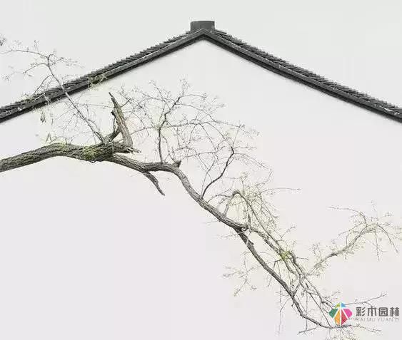 庭院設(shè)計才這樣設(shè)計才好看
