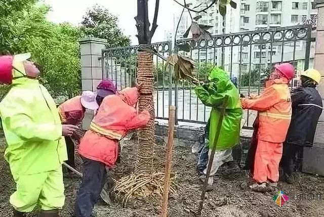 庭院設(shè)計才這樣設(shè)計才好看