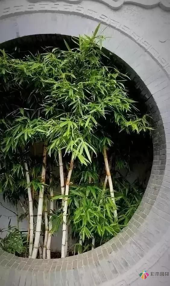 庭院設(shè)計才這樣設(shè)計才好看