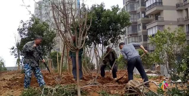 庭院設(shè)計才這樣設(shè)計才好看