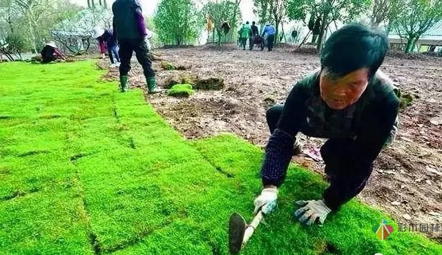 庭院設(shè)計才這樣設(shè)計才好看