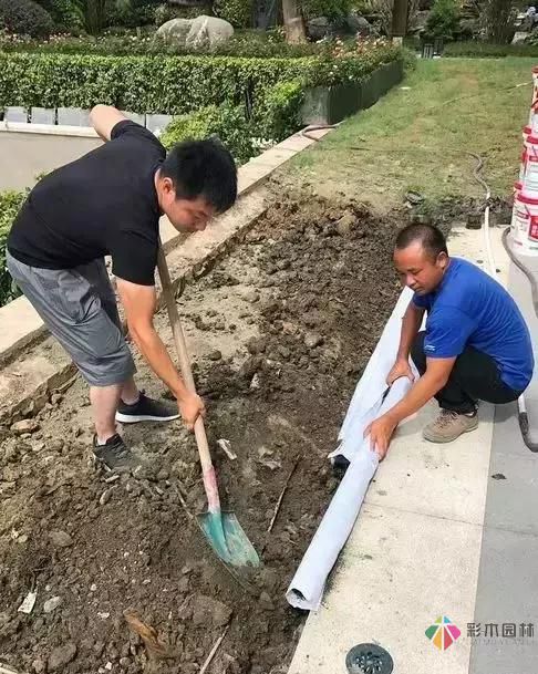 庭院設(shè)計才這樣設(shè)計才好看
