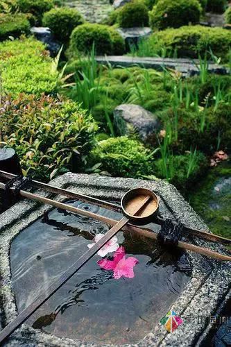 花園設計改造,手把手教你打造最美花園