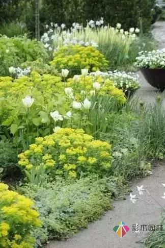 花園設計改造,手把手教你打造最美花園