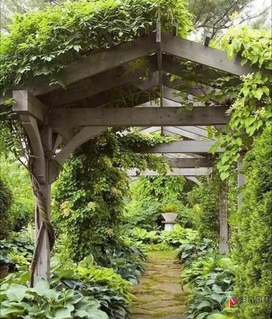 別讓花園空著，彩木園林給您打造一個花園式庭院