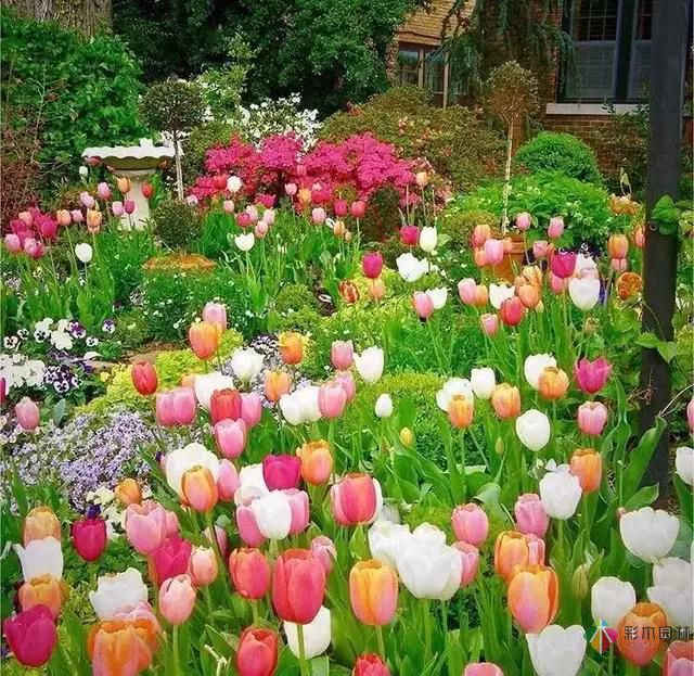 這樣子的庭院花園施工維護,花鏡美的不要不要的!