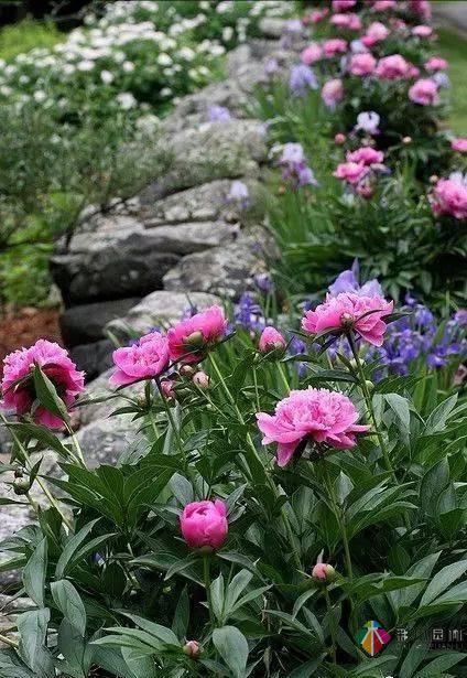 這樣子的庭院花園施工維護,花鏡美的不要不要的!