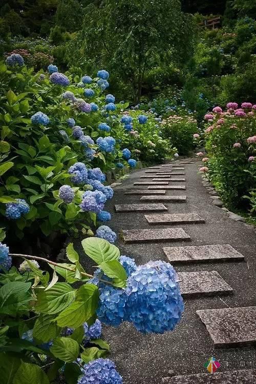 這樣子的庭院花園施工維護,花鏡美的不要不要的!