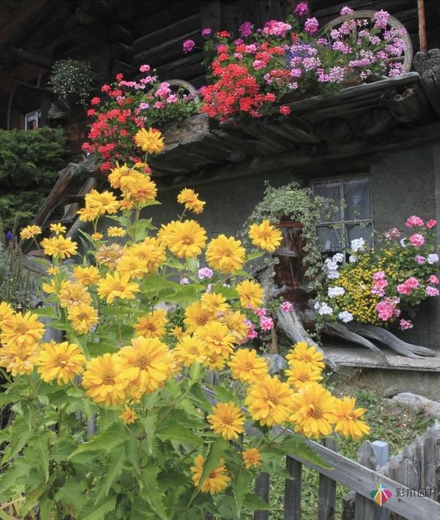 這樣子的庭院花園施工維護,花鏡美的不要不要的!