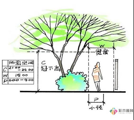 這樣的花園設(shè)計(jì)才有調(diào)性！