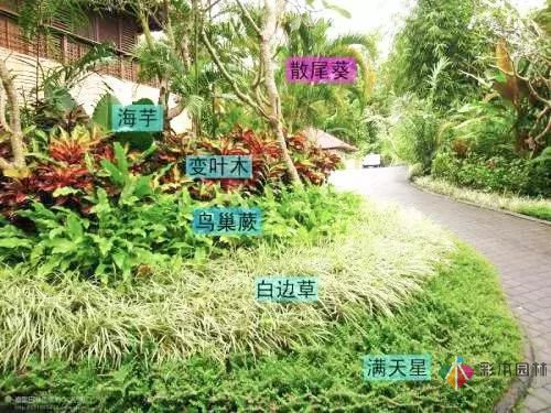 今后居住區景觀設計的發展趨勢如何？