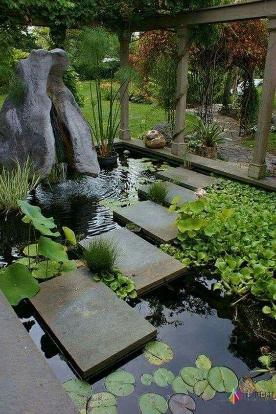 在私家花園庭院設計有一個魚塘荷花池,整個庭院都活了