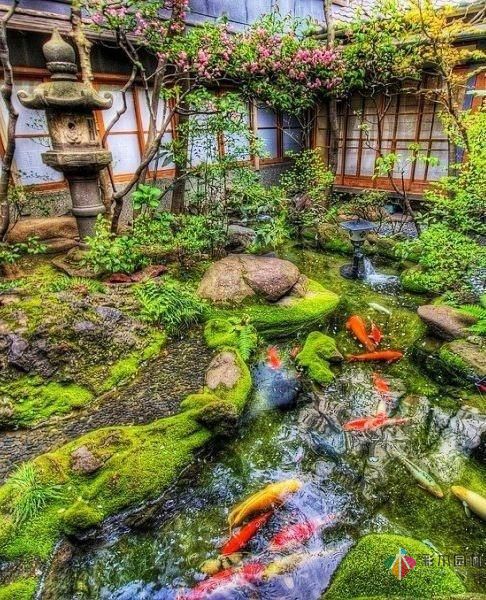 在私家花園庭院設計有一個魚塘荷花池,整個庭院都活了