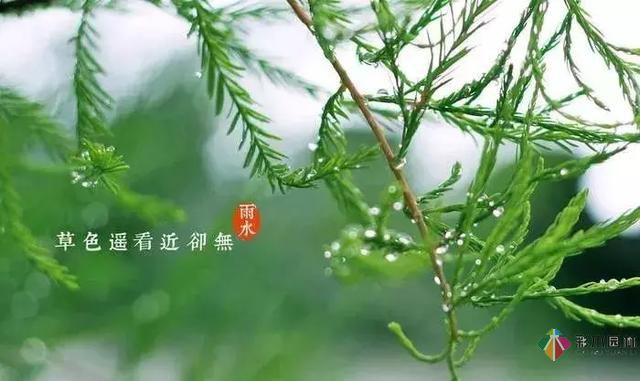 17種園林綠化種植技術及處理辦法，值得珍藏！