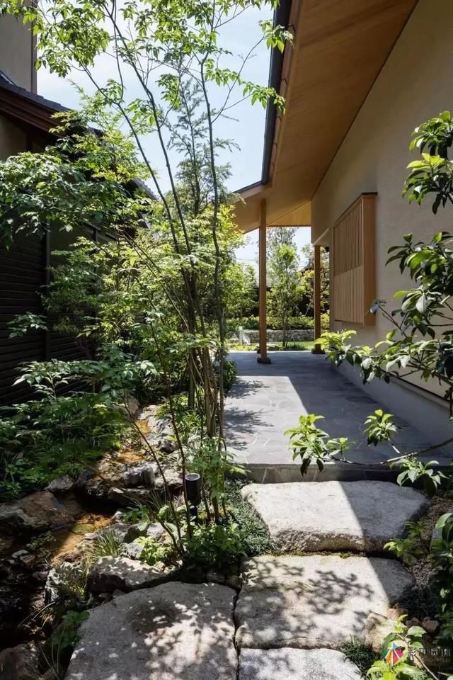 春季園林景觀綠化養(yǎng)護常見的幾大誤區(qū)