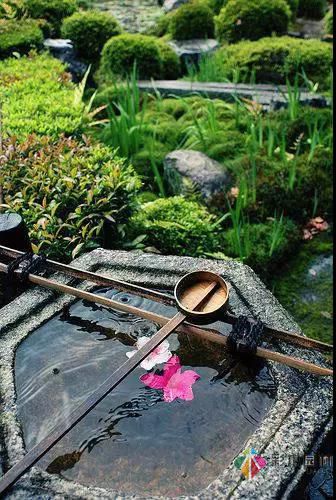 花園改造設計，彩木園林手把手教你打造最美花園