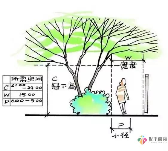 把握花園設(shè)計(jì)要素，建造實(shí)用私家花園