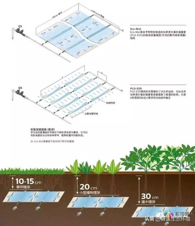 屋頂花園設(shè)計(jì)規(guī)范及植物配置!值得珍藏