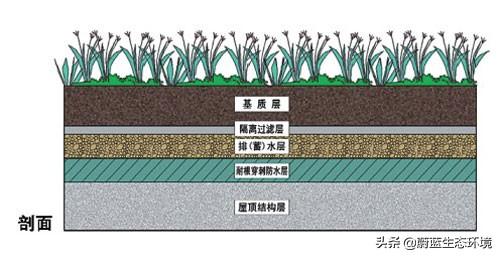 屋頂花園設(shè)計(jì)規(guī)范及植物配置!值得珍藏