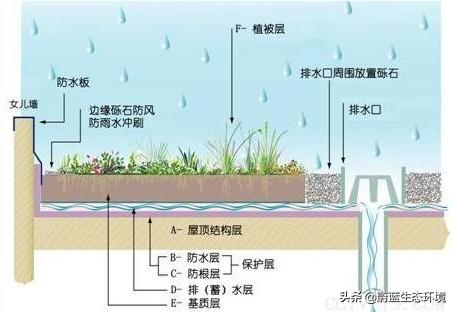 屋頂花園設(shè)計(jì)規(guī)范及植物配置!值得珍藏