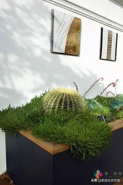 屋頂花園設(shè)計(jì)規(guī)范及植物配置!值得珍藏