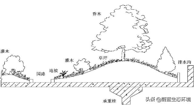 屋頂花園設(shè)計(jì)規(guī)范及植物配置!值得珍藏