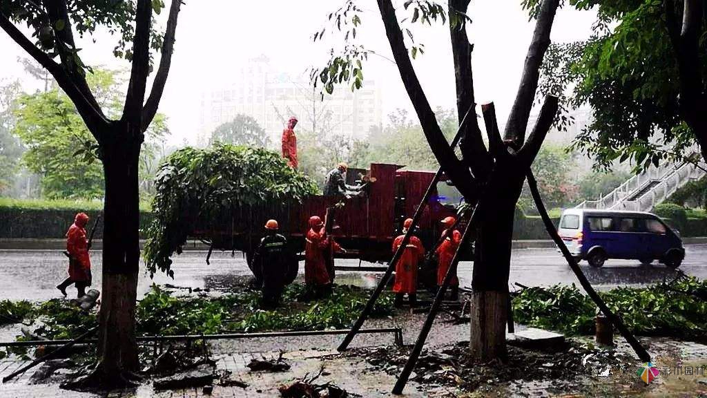 夏季雨季園林景觀工程施工要注意哪幾點(diǎn)?