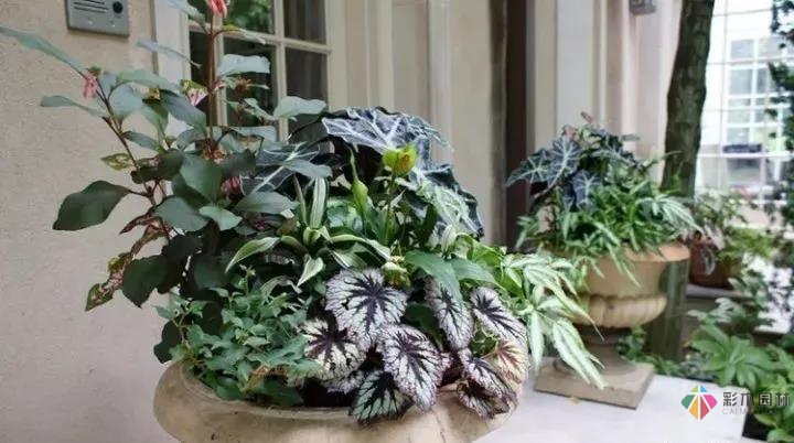 從植物到鋪裝新古典主義風格庭院設計顯得十分浪漫