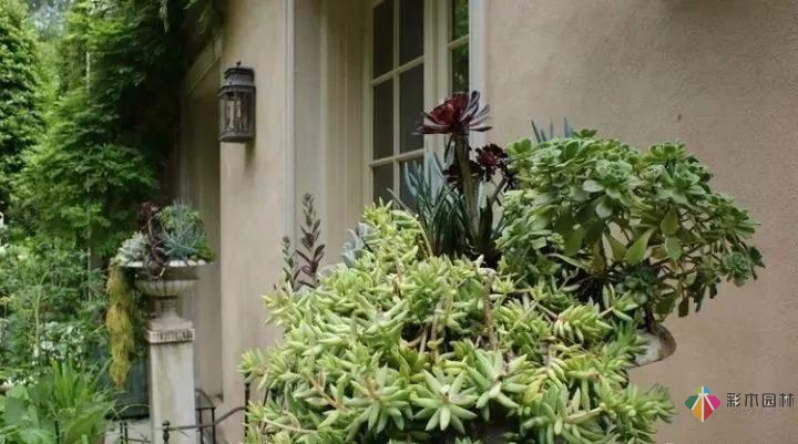 從植物到鋪裝新古典主義風格庭院設計顯得十分浪漫