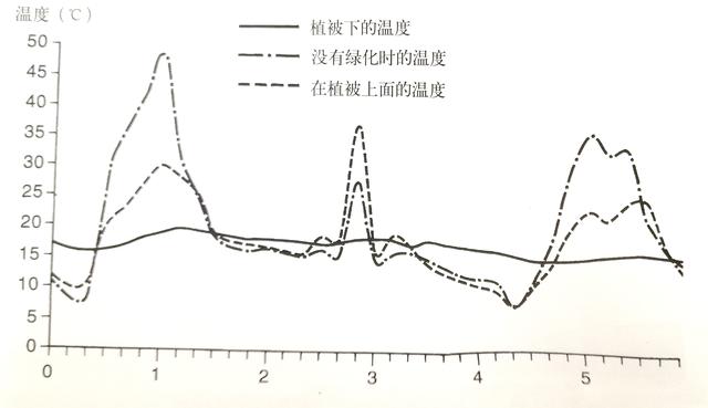 屋頂花園設計不光是好看,更有這些你不知道!