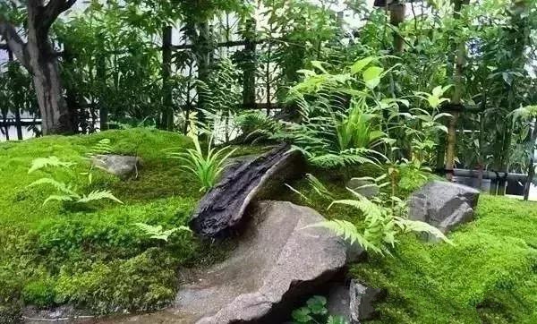 花園設計,苔造園也是一道美景!