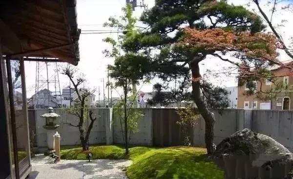 花園設計,苔造園也是一道美景!