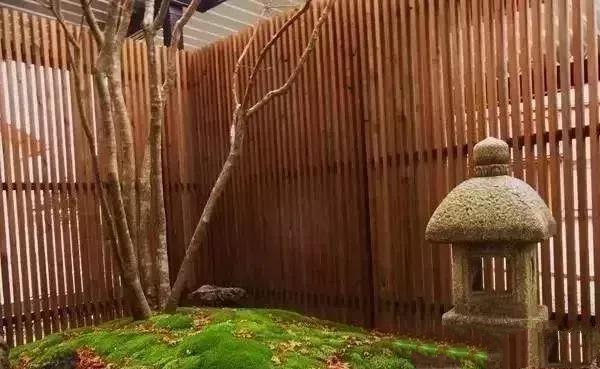 花園設計,苔造園也是一道美景!