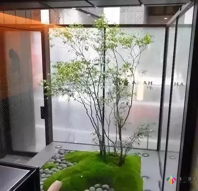 花園設計,苔造園也是一道美景!