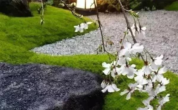 花園設計,苔造園也是一道美景!
