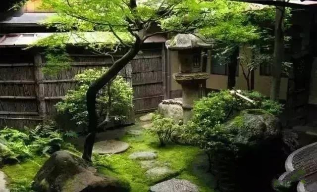 花園設計,苔造園也是一道美景!