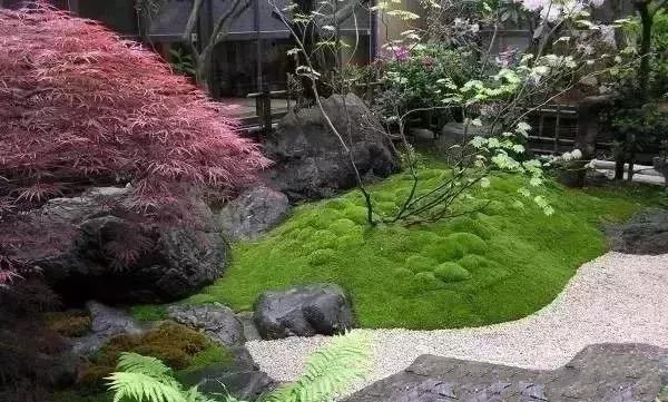 花園設計,苔造園也是一道美景!