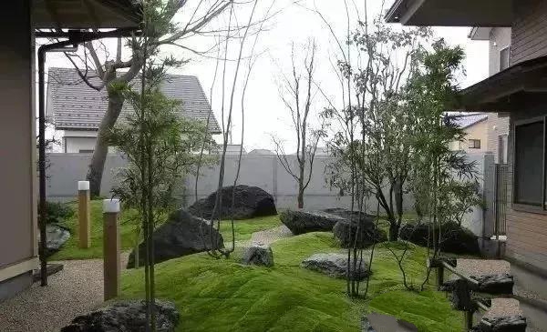 花園設計,苔造園也是一道美景!