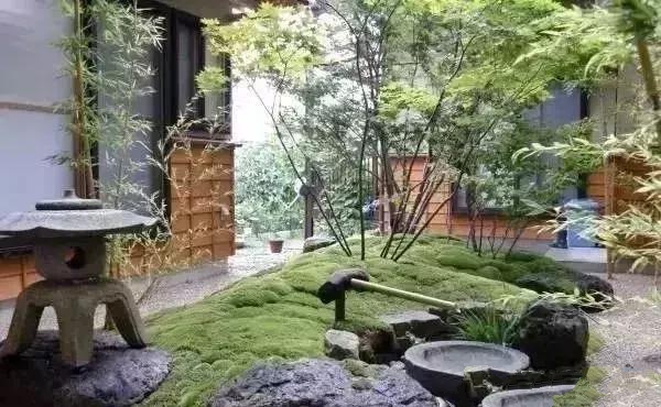 花園設計,苔造園也是一道美景!