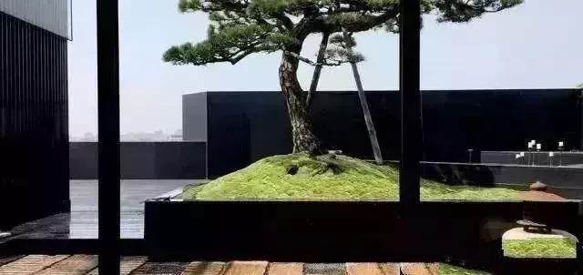 花園設計,苔造園也是一道美景!