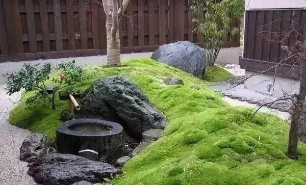 花園設計,苔造園也是一道美景!
