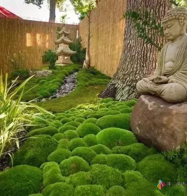 花園設計,苔造園也是一道美景!
