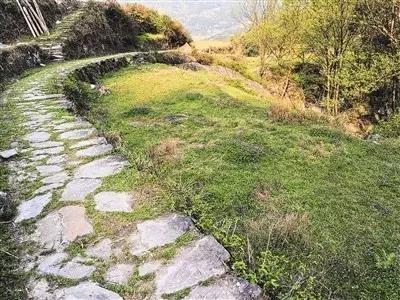 庭院設計中植物和小路怎么搭配才最好看？