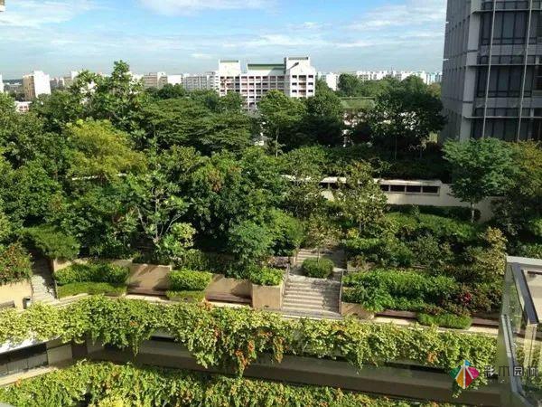 100款屋頂花園露臺(tái)設(shè)計(jì),看了真的好心動(dòng)啊!
