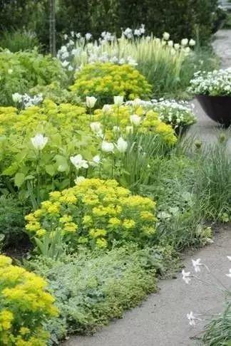 庭院設(shè)計(jì)之花園改造設(shè)計(jì),五種方法手把手教你打造最美花