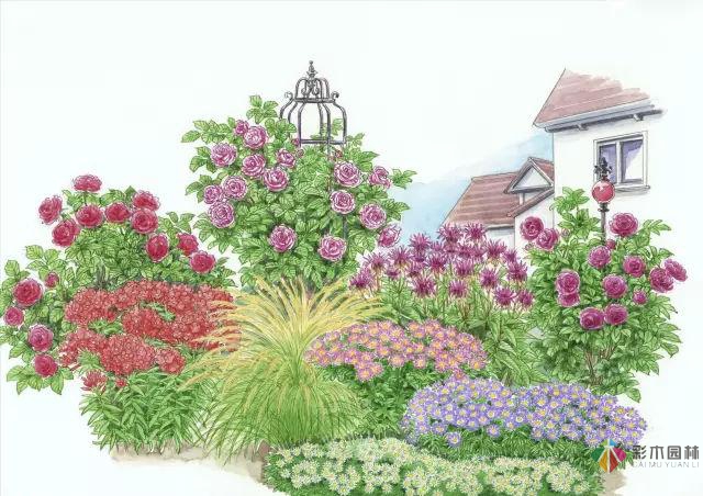 庭院花境園藝設計和植物搭配需要哪些要求?