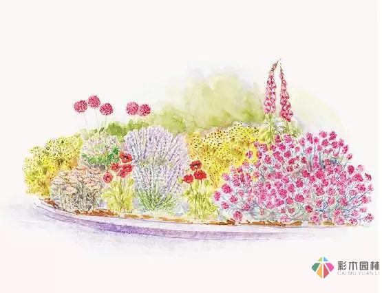 庭院花境園藝設計和植物搭配需要哪些要求?