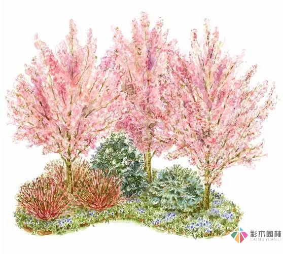 庭院花境園藝設計和植物搭配需要哪些要求?